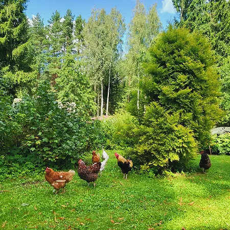 Farm stay Lejasvagneris *